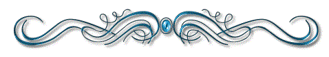 silverdividert.gif (10477 bytes)